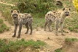 leipzig zoo-01_07_2011_zoo_allgemein_364